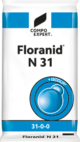 Флоранид N 31