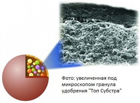 granula12_486x359.jpg