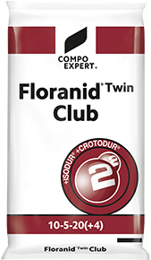 Флоранид Твин Клаб