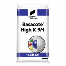 Базакот Хай К 9М