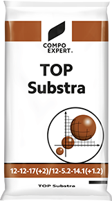 Топ Субстра